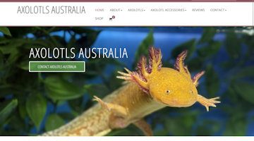 Axolotls-Australia